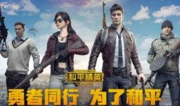 和平精英小瓜爆料视频,揭秘游戏新内容与更新亮点